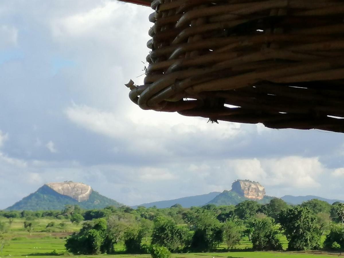 Organic Garden Resort Sigiriya Exterior photo