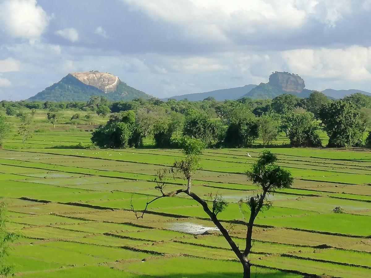 Organic Garden Resort Sigiriya Exterior photo