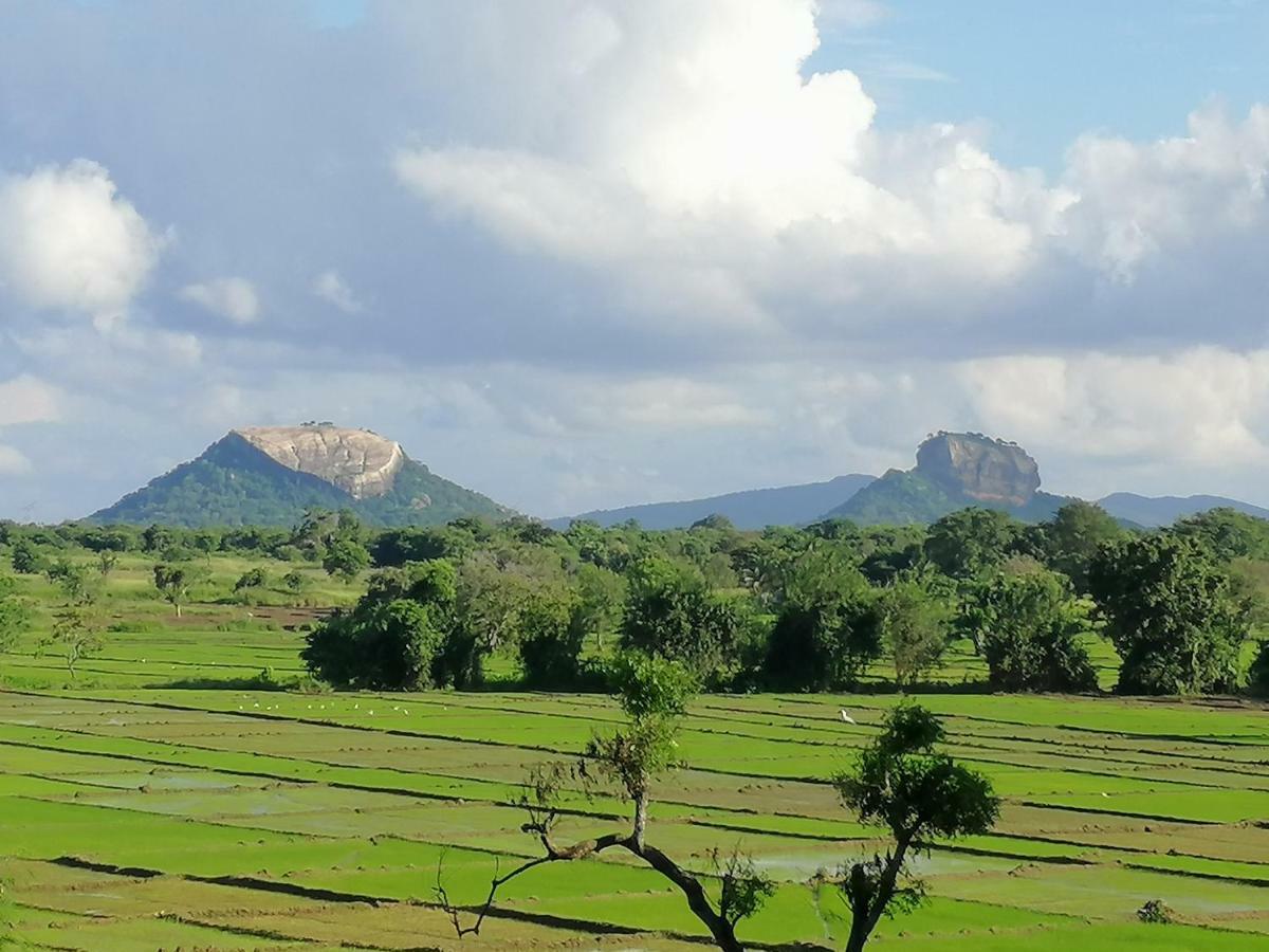 Organic Garden Resort Sigiriya Exterior photo