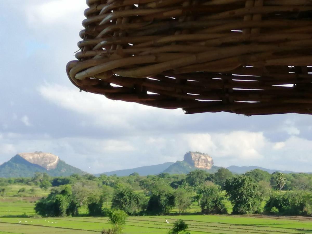 Organic Garden Resort Sigiriya Exterior photo